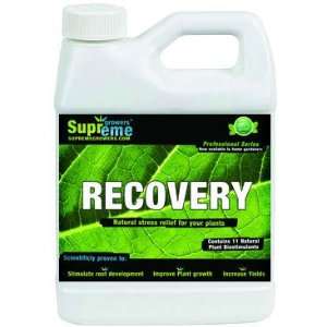  Recovey  Contains a natural blend of 11 Natural Auxins 