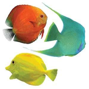  9 Fish Tub Tropical Fish Appliques By Funmade: Everything 