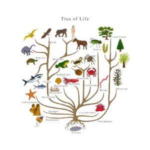  Tree Of Life Pins 