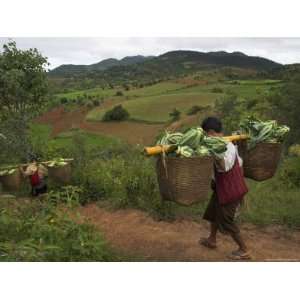 Two Men Carrying Heavy Loads on the Way to Local Market, Shabin Area 