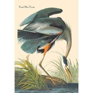  Exclusive By Buyenlarge Great Blue Heron 20x30 poster 