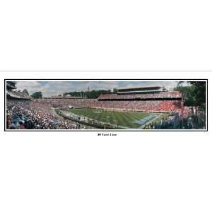   , Chapel Hill, NC   13.5 x 39 inch Panoramic Print