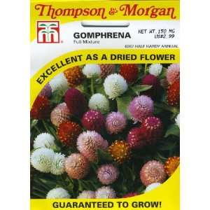 Thompson & Morgan 6267 Gomphrena Full Mixture (Globe Amaranth) Seed 