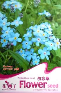 A102 Flower Sky Blue Forget Me Not Myosotis Seed Pack  