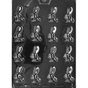  Bite Size LONG EARRED BUNNY Easter Candy Mold: Home 