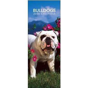  Bulldogs 2008 Slimline Wall Calendar