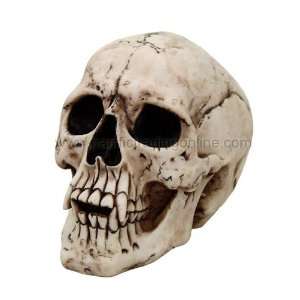   Skull Statue Fierce Fangs Bloodthirsty Demon Figurine: Home & Kitchen
