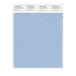   SMART 15 4105X Color Swatch Card, Angel Falls