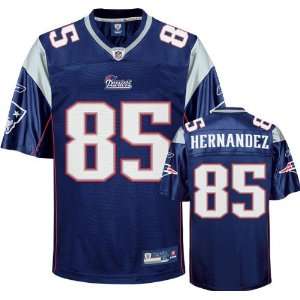  Aaron Hernandez #81 New England Patriots Home Jersey Large 