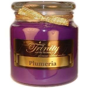  Plumeria   Traditional   Soy Jar Candle   18 oz: Home 
