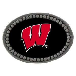   Wisconsin Badgers NCAA Team Logo Pewter Lapel Pin: Sports & Outdoors
