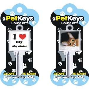  Pet Keys House Keys   I Love My Abyssinian: Office 