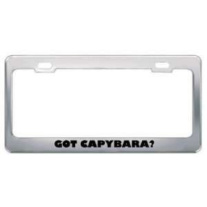 Got Capybara? Animals Pets Metal License Plate Frame Holder Border Tag