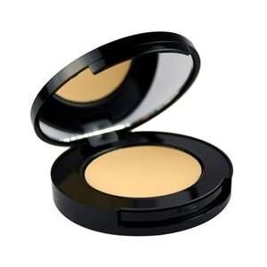  Erase Corrective Makeupby NVEY ECO Beauty