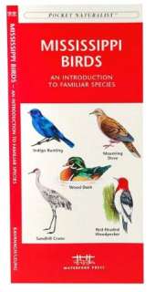  Guide to Backyard Birds of the South by Cool Springs Press  Paperback