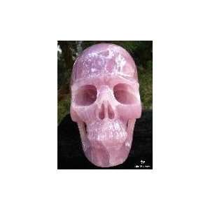  Unique Pink Rose Quartz Rock Crystal Skull Titan Kitchen 