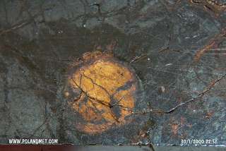 Meteorite WOLF CREEK [Iron IIIAB] endpiece 135g  