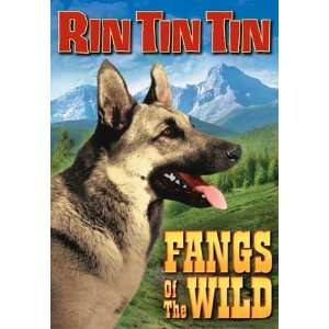  Rin Tin Tin   Fangs of The Wild   11 x 17 Poster