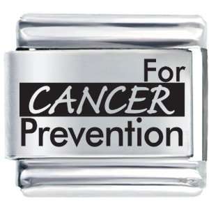  For Cancer Prevention Italian Charms Bracelet Link 