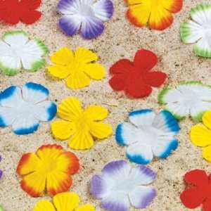    Lot of 500 Hawaiian Tropical Luau Flower Petals Wedding: Baby