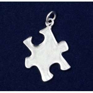  Autism Ribbon Puzzle Piece Charm  (Retail): Everything 