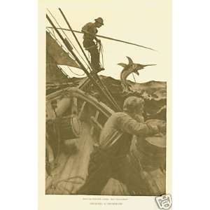   1906 Print Spearing A Swordfish by Clifford W Ashley 