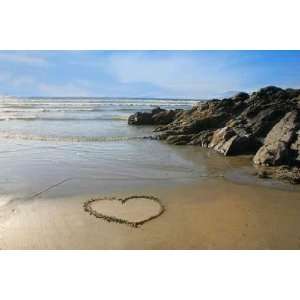  Love in the Sand   Peel and Stick Wall Decal by 
