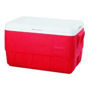  36 Qt. Family Ice Chest, Red/White: Sports & Outdoors