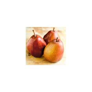 Organic Red Pear Gift Box:  Grocery & Gourmet Food
