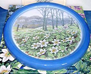 This Plate is called, Anemone from the Wild Flowers of Nature 