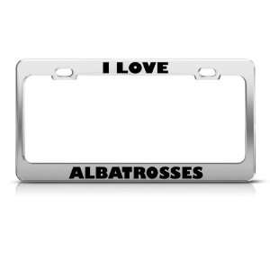  Love Albatrosses Albatrosses Animal license plate frame 