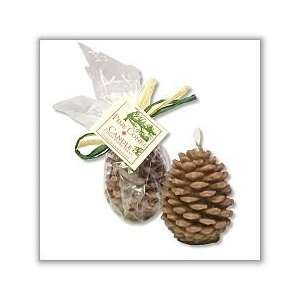  Pine Cone Candles   5