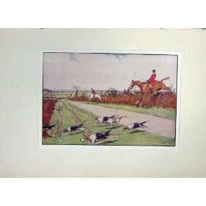   : Black Beauty Horse Anna Sewell Hunting Dogs Hounds: Home & Kitchen