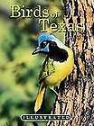 NEW The Illustrated Birds Of Texas   Ohr, Tim/ Lockwood