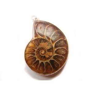  PE0365 Madagascar Ammonite Fossil Crystal Pendant Jewelry