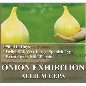 EXHIBITION Sweet Spainsh Allium Cepa Onion seeds delightful VERY SWEET 