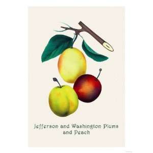  Jefferson and Washington Plums and Peach Giclee Poster 