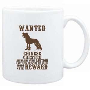   Crested   $1000 Cash Reward  Dogs 