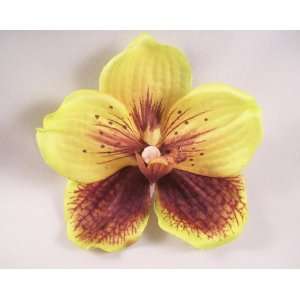  Green and Brown Vanda Orchid Flower Hair Clip: Everything 