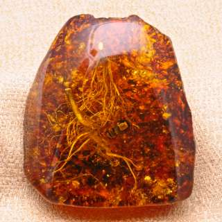 91X83X35MM MACHINE MADE TREE RESIN AMBER COLLECTIBLE  
