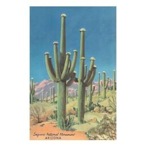  Saguaro National Monument, Arizona Giclee Poster Print 