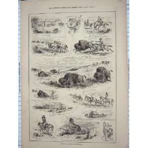   : 1885 BUFFALO HUNTING MONTANA TIGER HORSES HUNTSMAN: Home & Kitchen