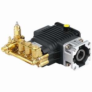   AR RSV2.5G25D F25 Direct Drive Pressure Washer Pump w/Unloader  