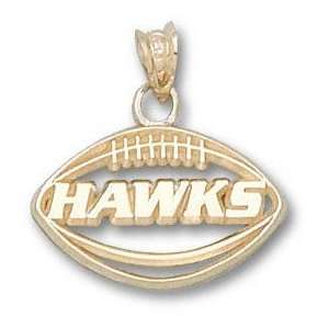  Iowa Hawkeyes Solid 10K Gold HAWKS Football Pendant 
