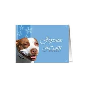  Joyeux Noel French Pitbull dog card Card Health 