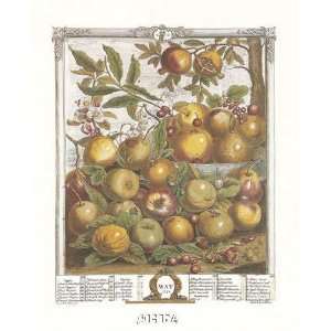  Twelve Months of Fruits, 1732/May by Robert Furber . Art 