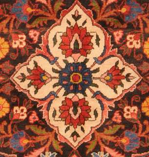 Large Area Rugs handmade Persian Wool Bakhtyari 7 x11  
