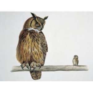 Eagle Owl (Bubo Bubo) Perching on a Branch with an Eurasian Pygmy Owl 
