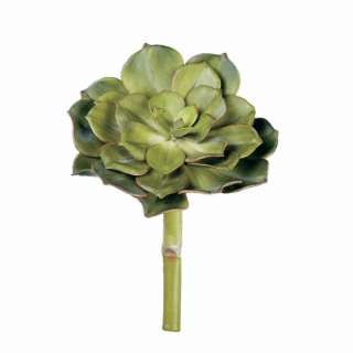 This set of 12 artificial echeveria stems make a beautiful addition to 