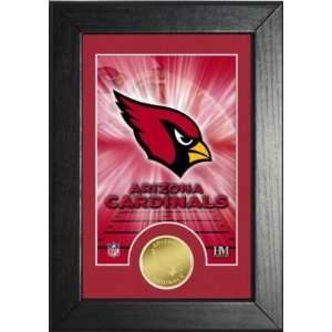    Arizona Cardinals NFL Team History Coin Card: Everything Else